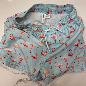 Janie and Jack Baby Swim Trunks 12-18 months